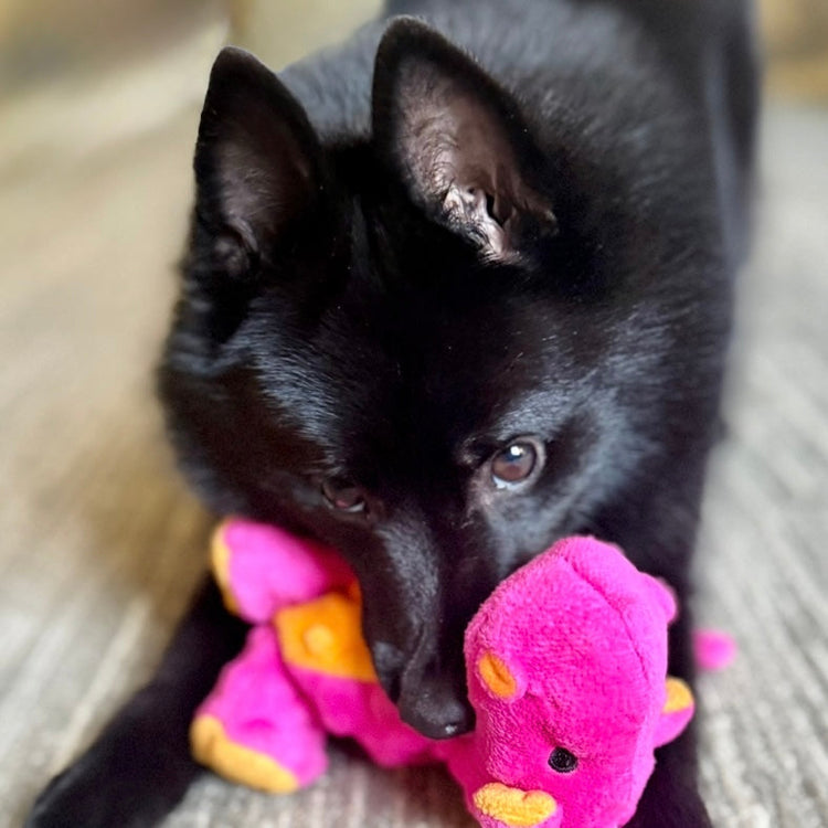 Pebble Mode: Activated