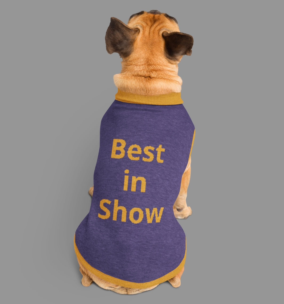 Best in Show Knitted Dog Sweater