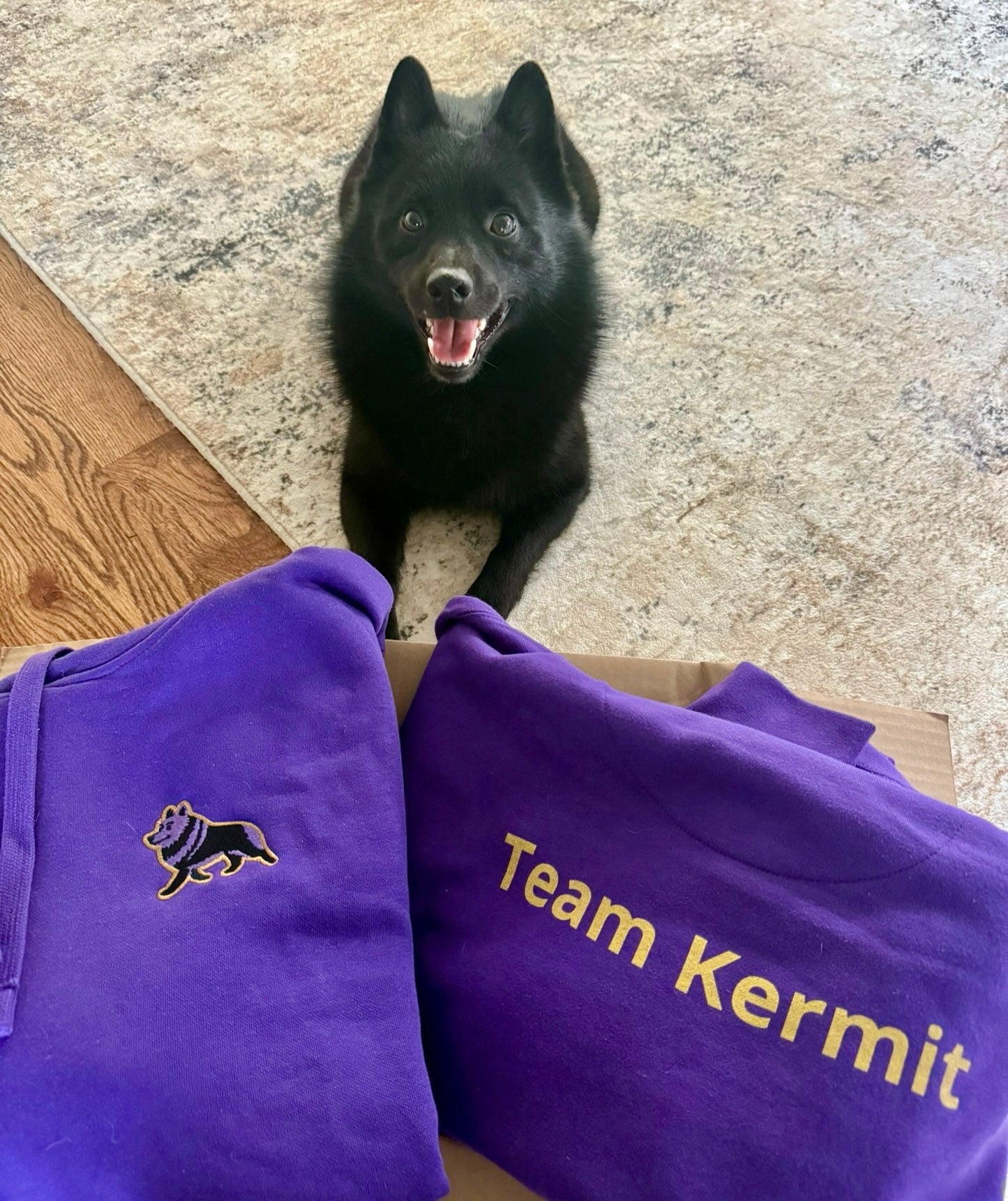 The Team Kermit Road to New York Hoodie 💜💛