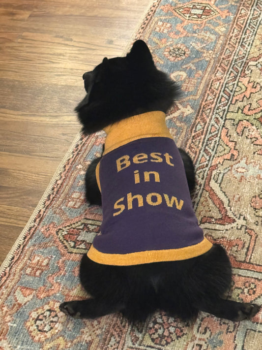 Best in Show Knitted Dog Sweater